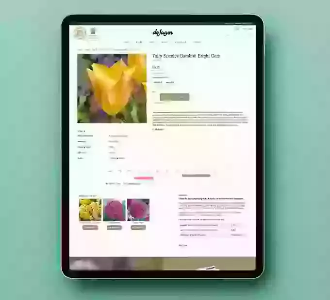 ecommerce graphic